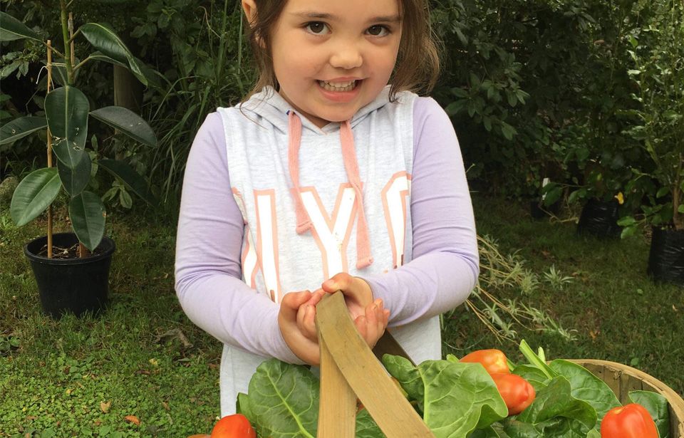 Vegan and waste-free childcare wins education award