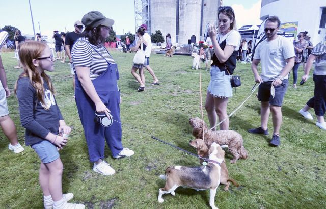 Animals can play a part in our mental resilience