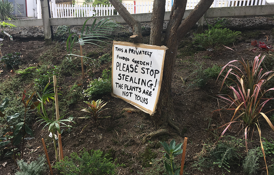 Plant thieves plunder thriving kerb-side garden 