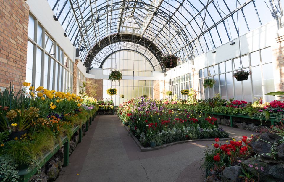 $7.5m makeover of Auckland's historic twin greenhouses on track 