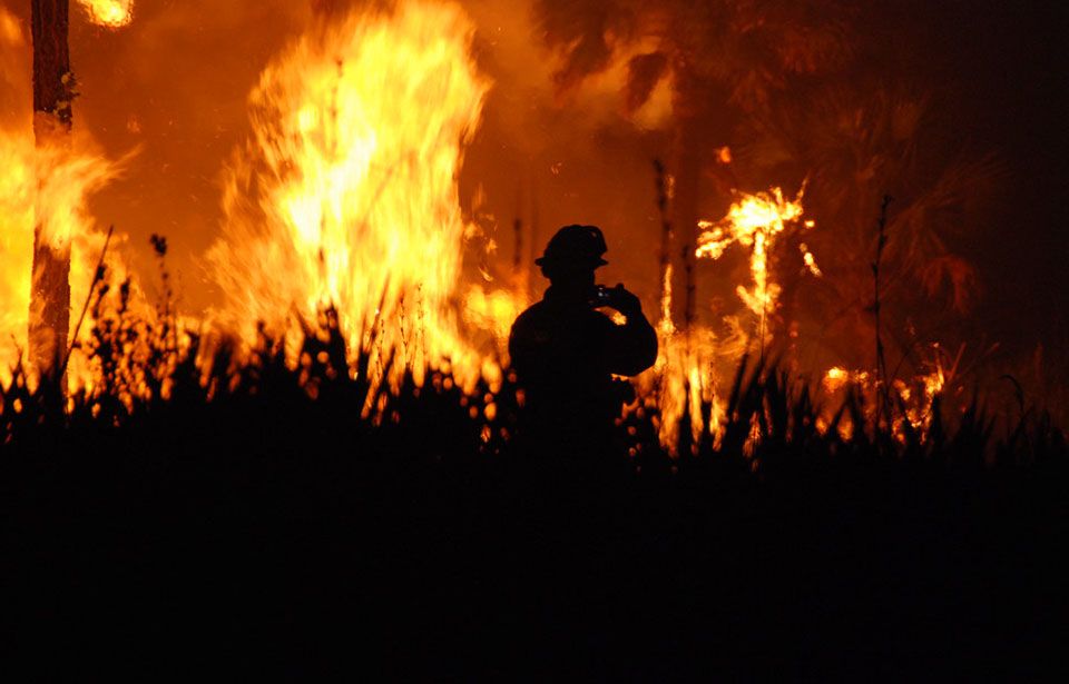 This summer will be a test of New Zealand’s wildfire readiness