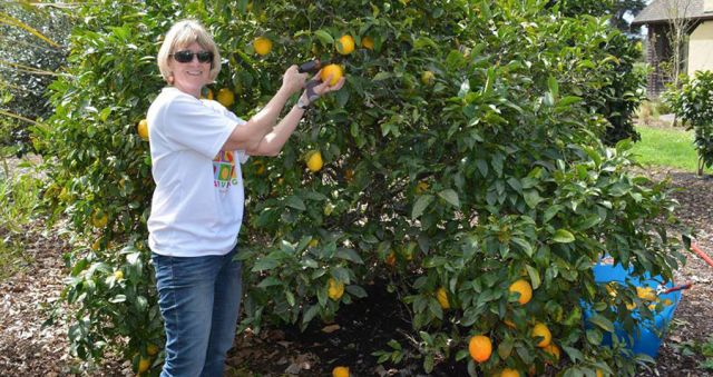 Fruits of their labour go to those in need