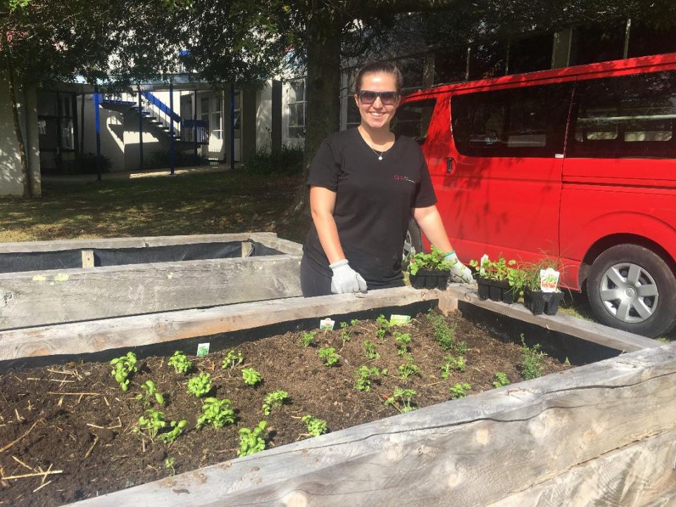 Students to grow veggies on campus