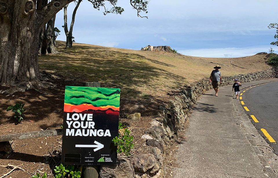  Replanting of Māngere mountain faces criticisms