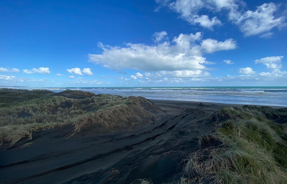 Auckland Council stops reckless driving on Muriwai Beach 