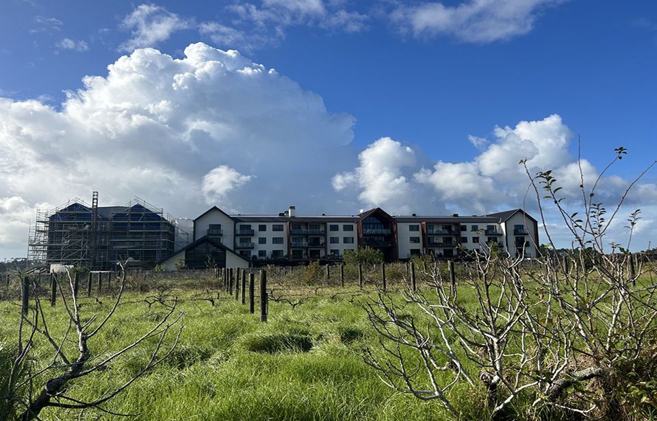 Kumeū winemakers adapt to the effects of climate change in the region