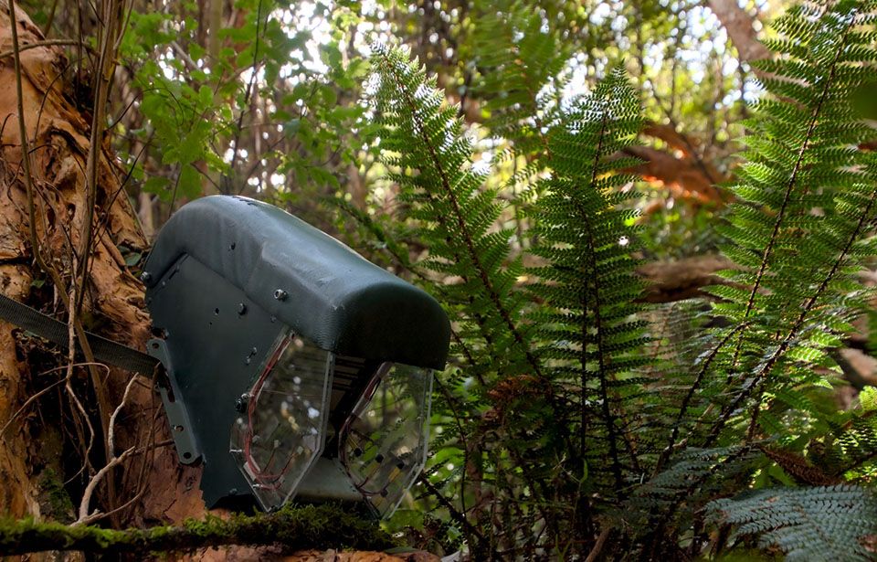 AI-camera trial across North Island to help protect native birds