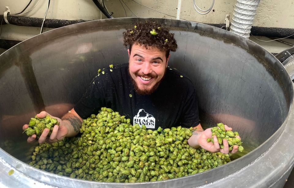 NZ’s annual hop harvest an exciting time for craft beer community