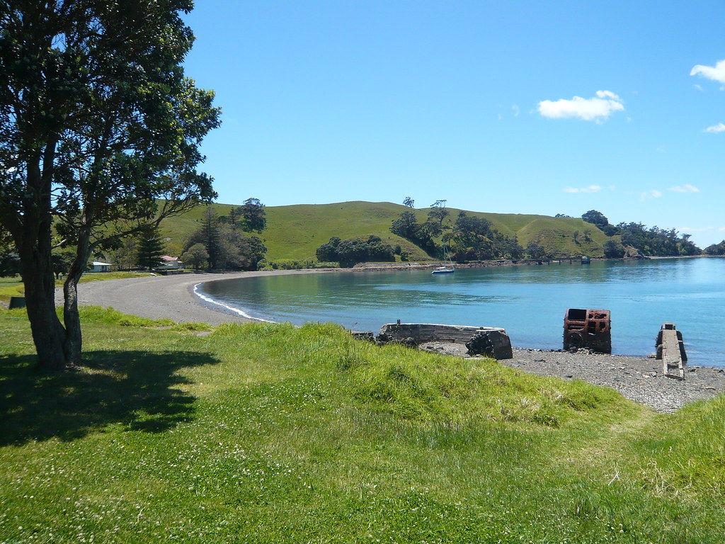 motutapu DOC image