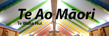 Te Ao Maori