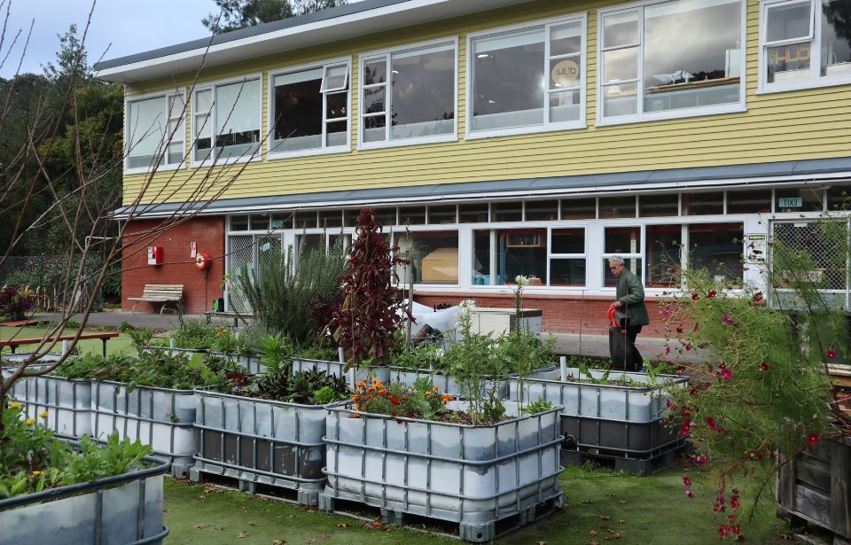 Great fun and no cost - free arts and culture events in Auckland 