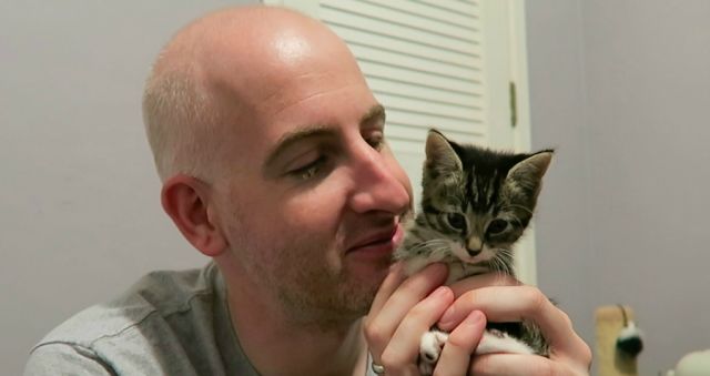 Kitten dumped metres from cat cafe