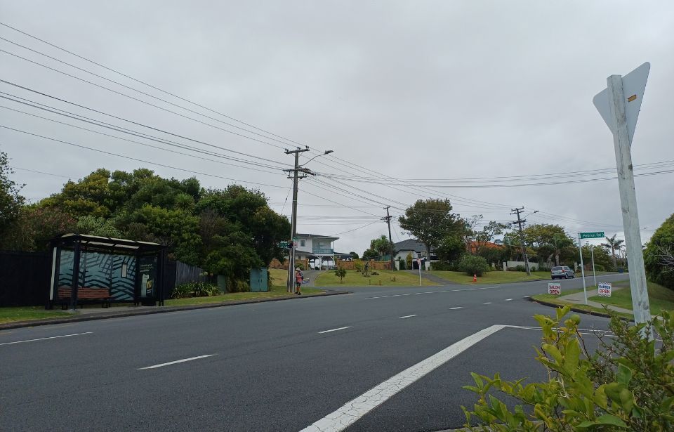 'We need a change.' Residents call for pedestrian crossing in Waiake Torbay