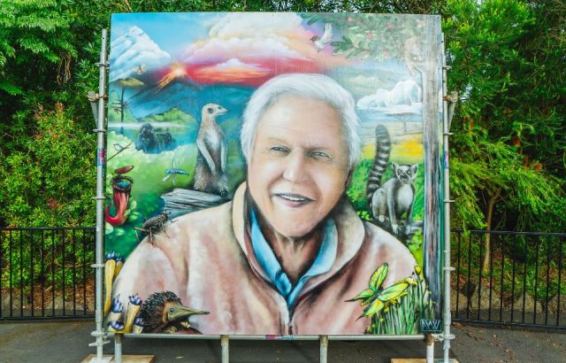 Mural is Auckland Zoo's tribute to Attenborough’s 100th birthday