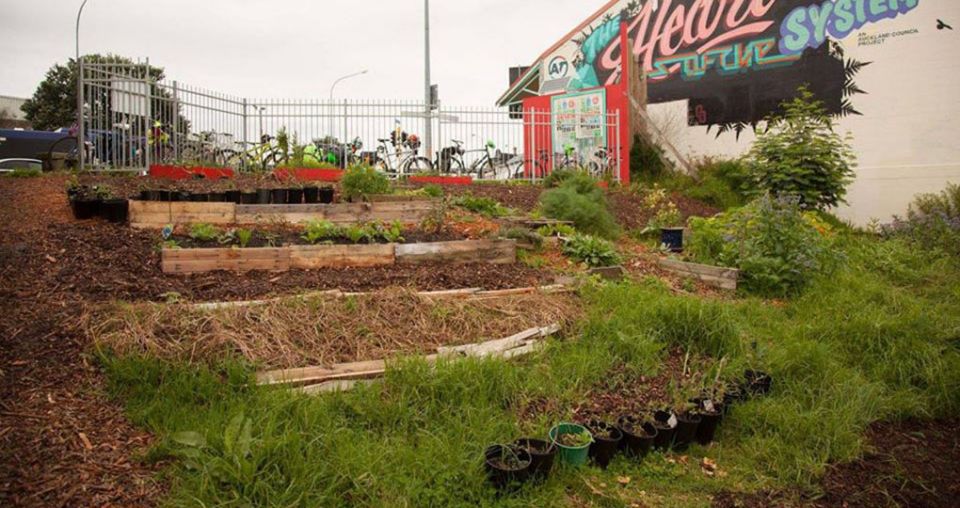 Growing hope for struggling community garden