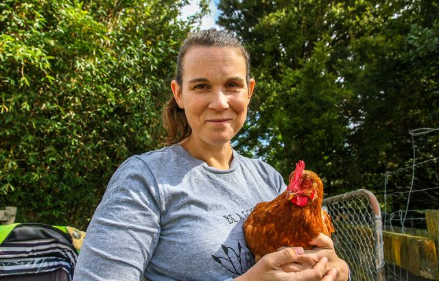 Chicken rescuers: Stop buying eggs